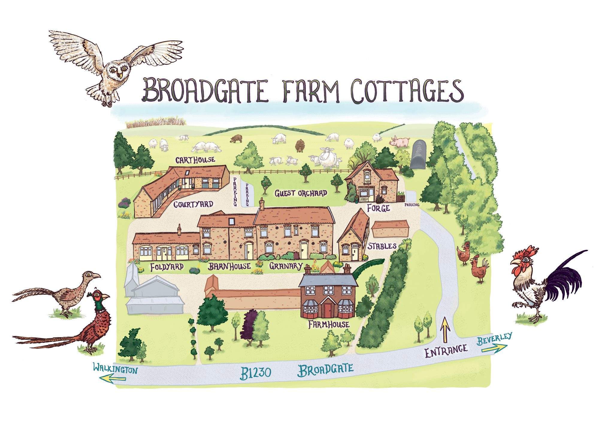 Illustrated map of the holiday cottages on our farm