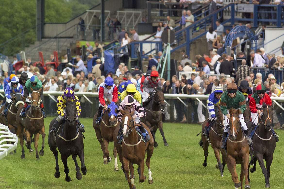 horses racing at beverley