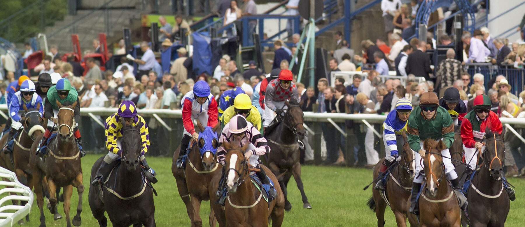 horses racing at beverley