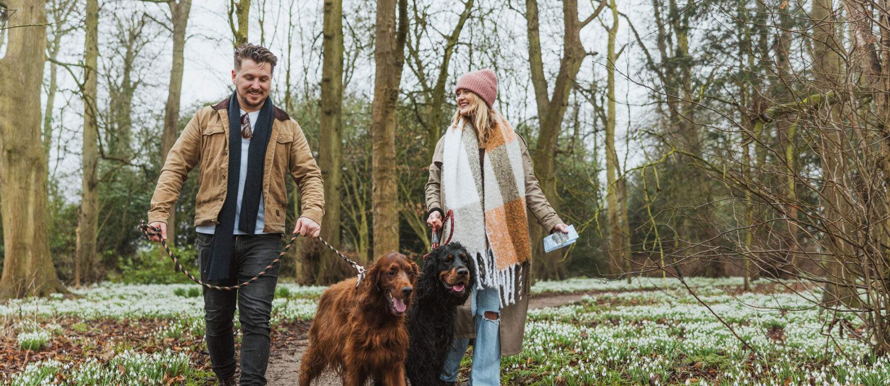 couple walking large dogs at burton agnes