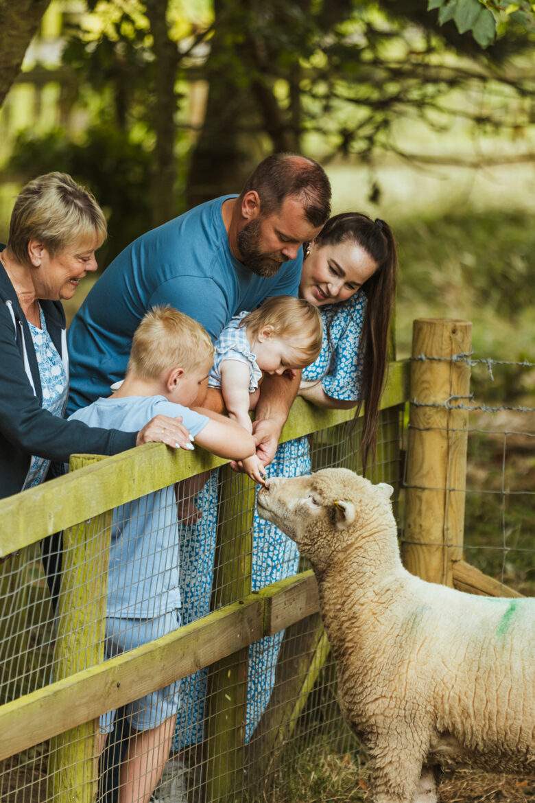 family petting a sheep over a fence