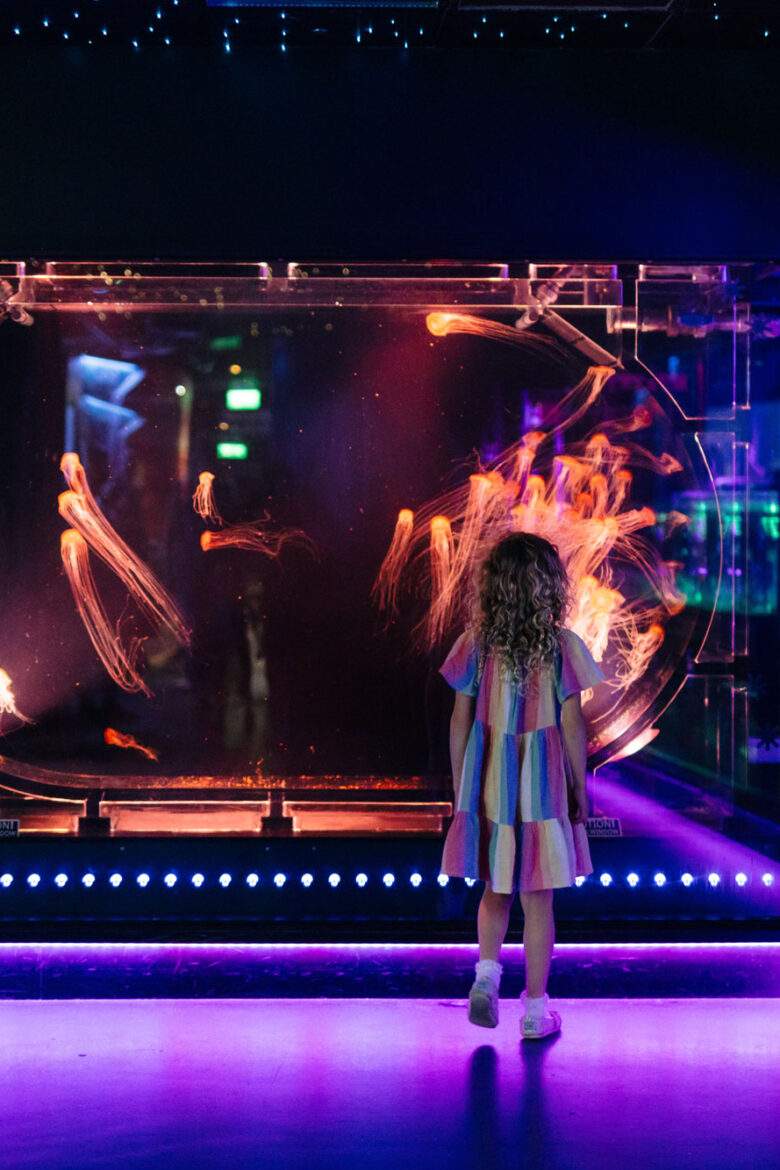 jelly fish display with a little girl watching