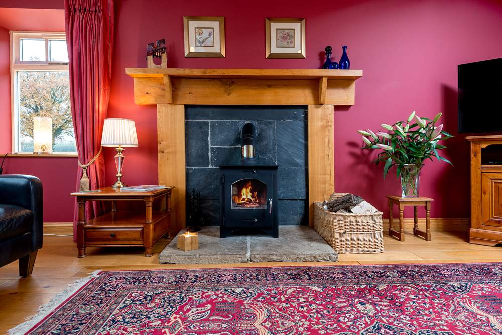 fireplace with wood burning stove 