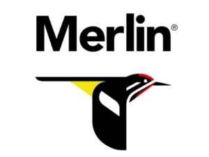 merlin bird id logo birdwatching