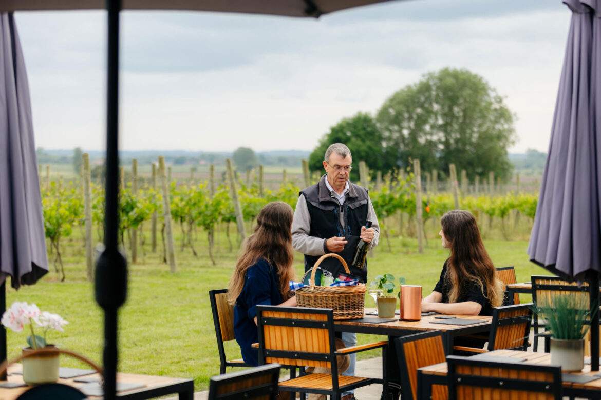 picnic basket at a vineyard