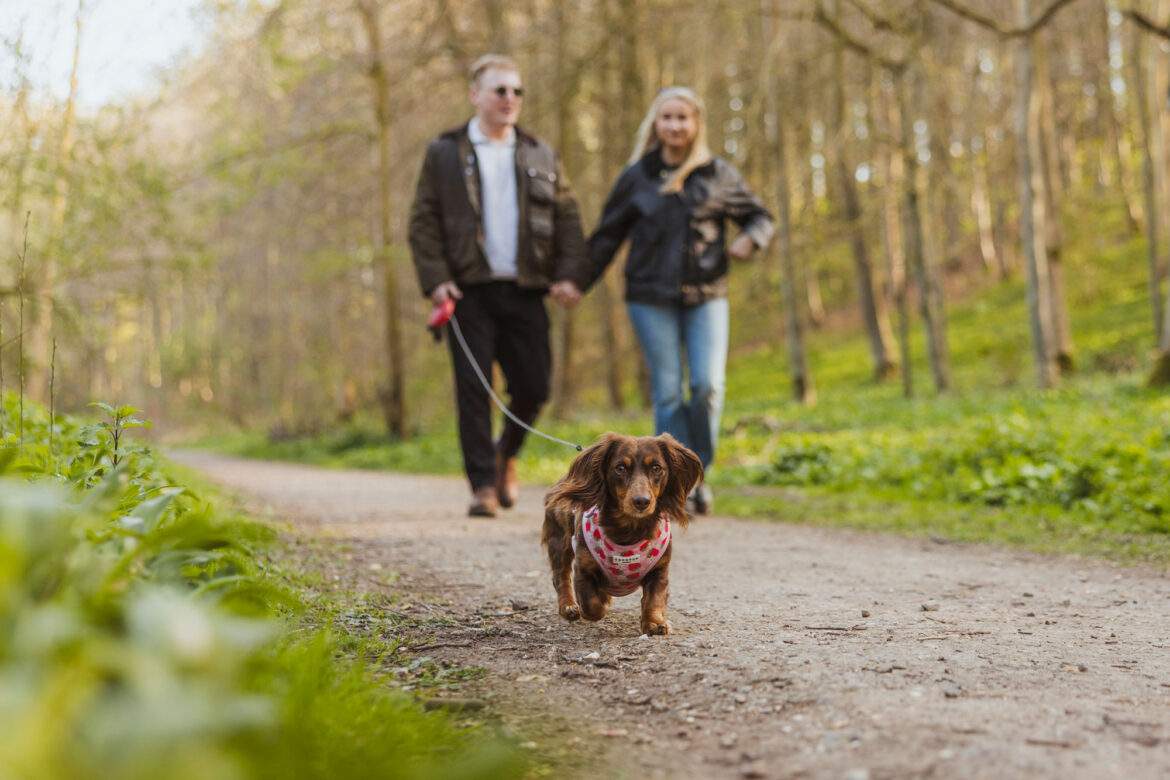 couple walking small dog