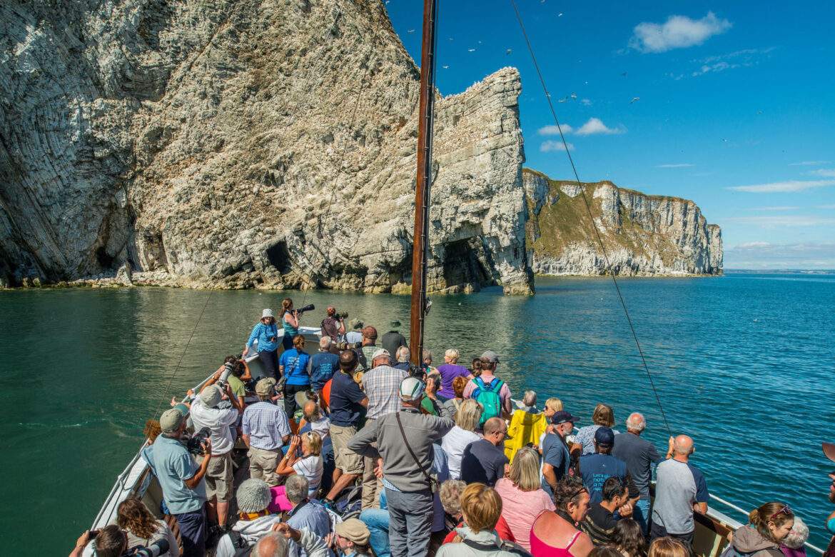 sightseeing boat by the chalk cliffs at flamborough