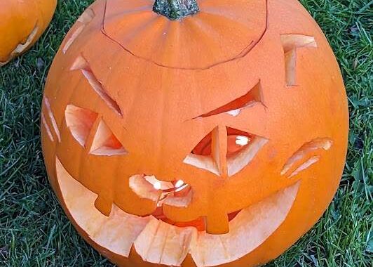 cat carved pumpkin 