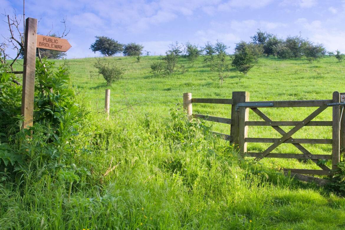 signpost for a bridleway in lovely green countryside