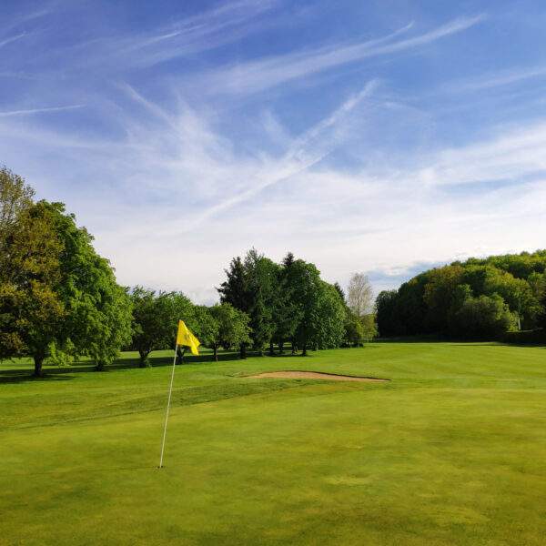 Golf course on a sunny day
