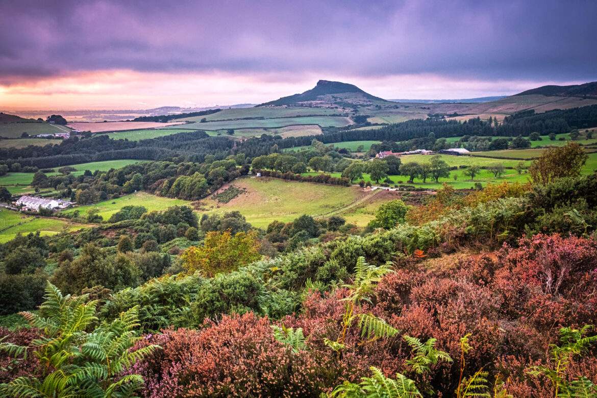 North York moors view