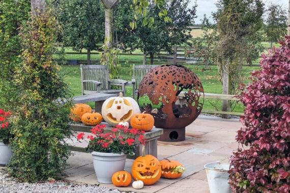 pumpkins around the fireball
