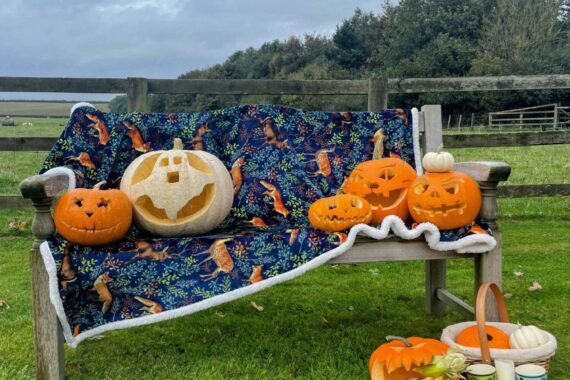 carved pumpkins on a bench