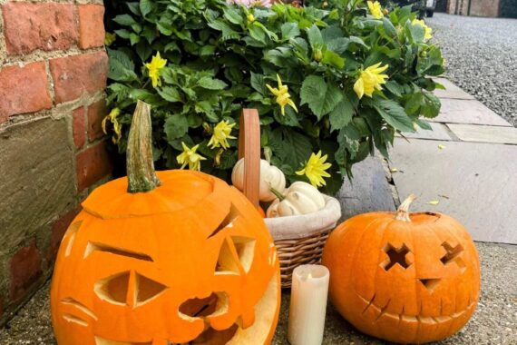 carved pumpkins in front of stable cottage