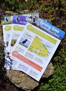 wildlife days out leaflets